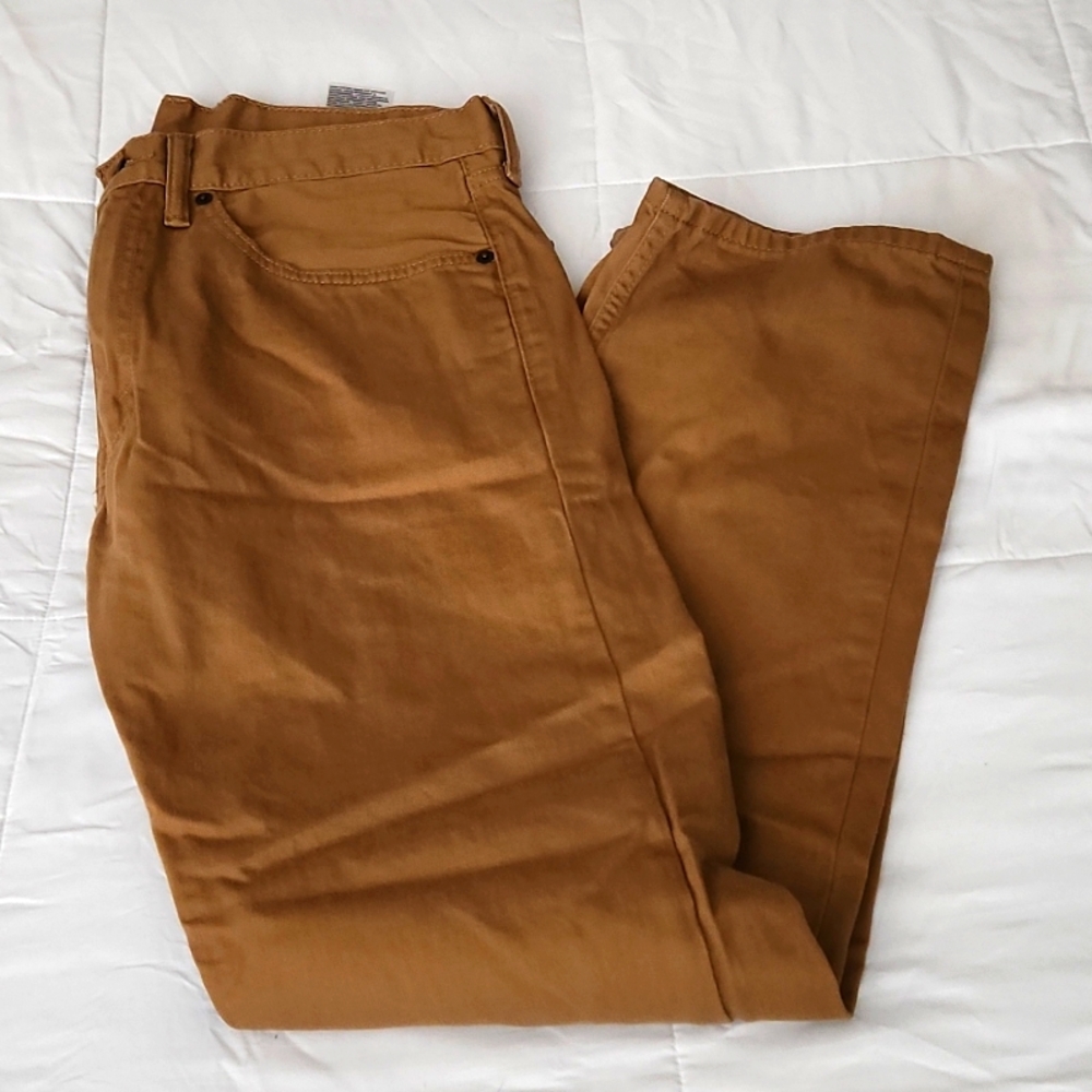 Mens levi